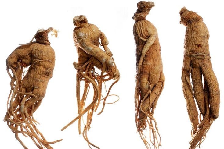 fréimhe ginseng le haghaidh méadú bod